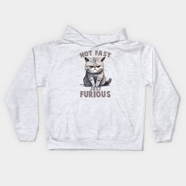 Not Fast, Just Furious Funny Cat Kids Hoodie by Nessanya